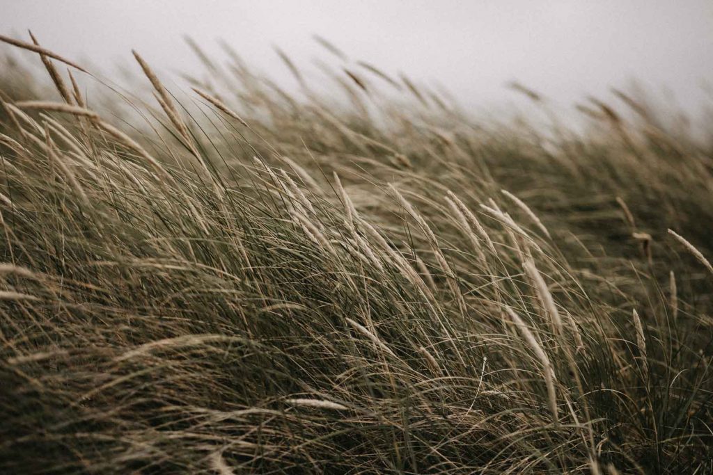 Heiraten am Strand auf Sylt.